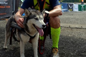 004_JE3-DSC_0645